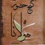 خرید کتاب گنج حضور مولانا مجموعه 4 جلدی از نشر فردوس