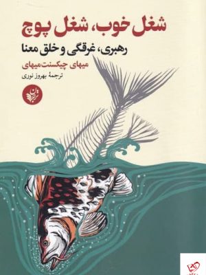 خرید کتاب شغل خوب ، شغل پوچ اثر میهای چیکسنت از نشر ققنوس