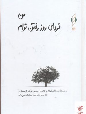 خرید کتاب من فردای روز رفتن توام اثر سیامک تقی زاده نشر کنار