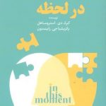 خرید کتاب در لحظه اثر كرک دیی استروساهل نشر دانیار