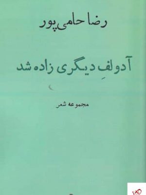 خرید کتاب آدولف ديگری زاده شد اثر رضا حامی پور نشر افراز