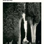 خرید کتاب روز رهایی اثر اینس کانیاتی از نشر بیدگل