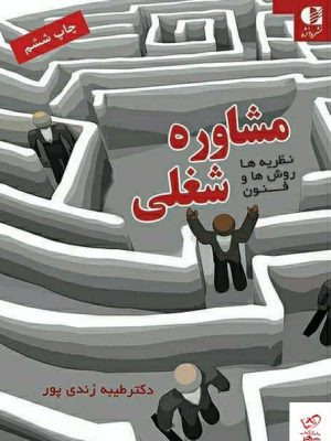 خرید کتاب مشاوره شغلی اثر طیبه زندی‌ پور از نشر دانژه