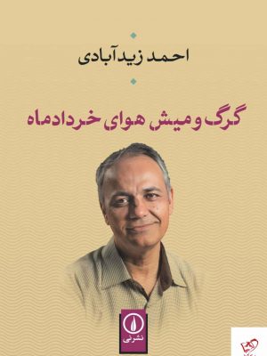 خرید کتاب گرگ میش هوای خرداد ماه از نشر نی