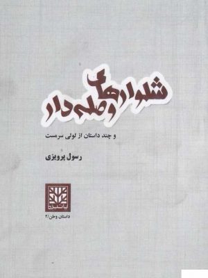 خرید کتاب شلوارهای وصله‌ دار (و چند داستان دیگر) اثر لولی سرمست