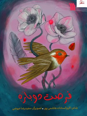 خرید کتاب فرصت دوباره اثر اکرم هاشمی پور از نشر سروش