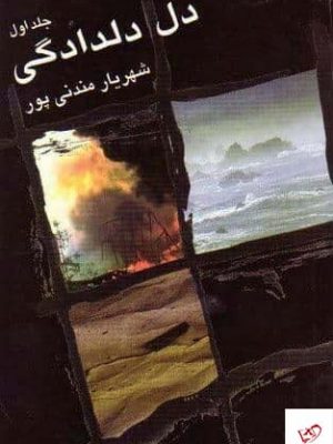 خرید کتاب دل دادگی اثر شهریار مندنی پور از نشر علم