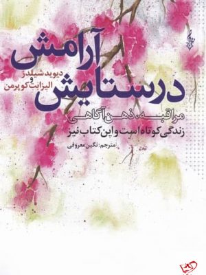 خرید کتاب در ستايش آرامش اثر ديويد شيلدز از نشر ترانه