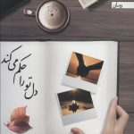 خرید کتاب دل تو را حكم می كند اثر فرشته نات شهدوست نشر آراسبان