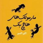 خرید کتاب مارمولک های هاچ بک اثر اکبر اکسیر از نشر مروارید