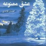 خرید کتاب عشق ممنوعه اثر افشان قائدی از نشر پرسمان