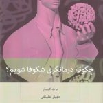 خرید کتاب چگونه درمانگری شکوفا شویم اثر برت کار نشر بینش نو