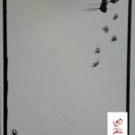 خرید کتاب بچه برفی اثر ایووین آیوی از نشر مروارید
