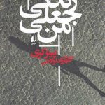 خرید کتاب زندگی جعلی من اثر پیتر کری از نشر افق