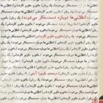 خرید کتاب انقلابی ها دوباره دست به‌ كار می شوند از نشر برج