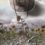 خرید کتاب دو سنگ یکی کهربا 2 جلدی اثر فرشته تات شهدوست نشر آراسبان