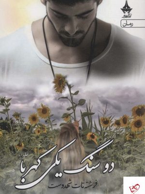 خرید کتاب دو سنگ یکی کهربا 2 جلدی اثر فرشته تات شهدوست نشر آراسبان