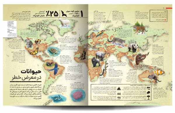 خرید کتاب اطلس نجات زمین اثر دن هوک از نشر سایان - تصویر 3