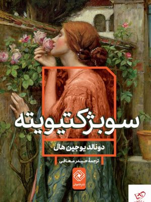 خرید کتاب سوبژكتيويته اثر دونالد یوجین هال از نشر خاموش
