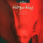 خرید کتاب پیله سوخته اثر زهرا علیرضائی از نشر صدای معاصر