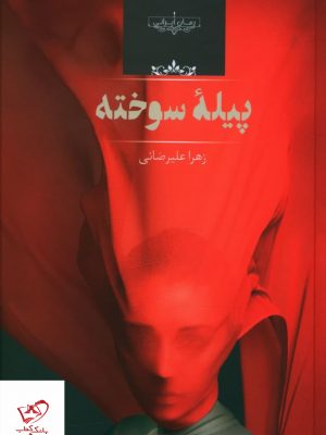 خرید کتاب پیله سوخته اثر زهرا علیرضائی از نشر صدای معاصر
