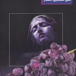 خرید کتاب حبه انگور اثر علی عسگری افشار از نشر مس