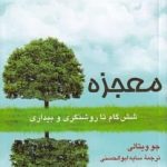 خرید کتاب معجزه اثر جو ویتالی از نشر پیکان