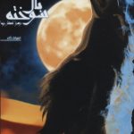 خرید کتاب نفرین بال سوخته (جلد سوم) اثر زهرا افشار زيبا نشر تندیس