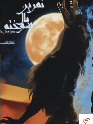 خرید کتاب نفرین بال سوخته (جلد سوم) اثر زهرا افشار زيبا نشر تندیس