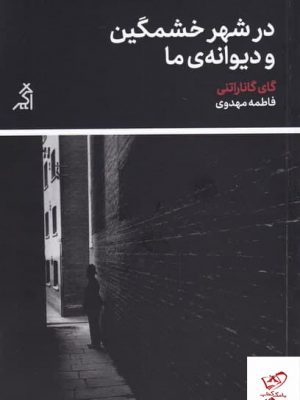 خرید کتاب در شهر خشمگین و دیوانه‌ ی ما اثر گای گاناراتنی نشر اگر