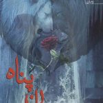 خرید کتاب جان پناه اثر آناهید اسماعیلی از نشر آراسبان