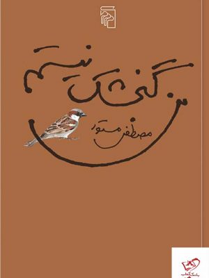 خرید کتاب من گنجشک نیستم اثر مصطفی مستور از نشر مرکز