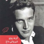 خرید کتاب گربه روی شیروانی داغ اثر تنسی ویلیامز از نشر مروارید