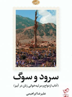خرید کتاب سرود و سوگ اثر علیرضا ابراهیمی از نشر آموت