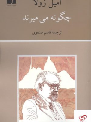 خرید کتاب چگونه می‌ میرند اثر امیل زولا از نشر دوستان