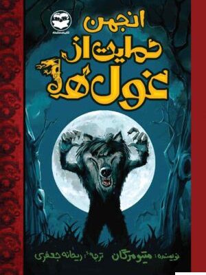 خرید کتاب انجمن حمایت از غول ها اثر متیو مورگان نشر امیر کبیر