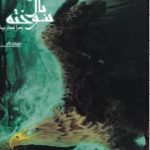 خرید کتاب نفرین بال سوخته (جلد اول) کابوس پرواز از نشر تندیس