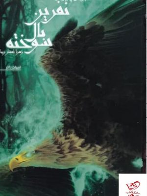 خرید کتاب نفرین بال سوخته (جلد اول) کابوس پرواز از نشر تندیس
