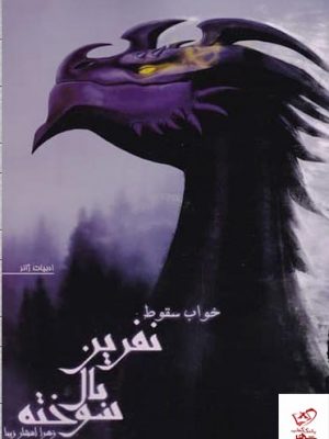 خرید کتاب نفرین بال سوخته (جلد دوم) خواب سقوط از نشر تندیس