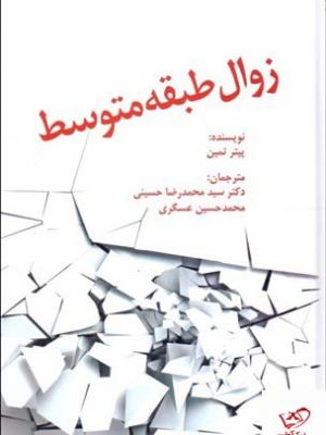 خرید کتاب زوال طبقه متوسط اثر پيتر تمين از نشر فوژان