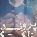 خرید کتاب پرونده خاکستری اثر سمیه حاجی عبدالمجید نشر آراسبان