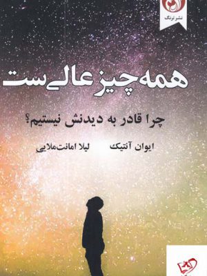 خرید کتاب همه چیز عالی ست اثر ایوان آنتیک از نشر ترنگ