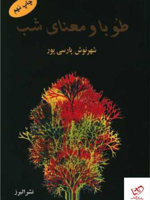 خرید کتاب طوبا و معنای شب اثر شهرنوش پارسی پور نشر مولی