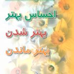 خرید کتاب احساس بهتر بهتر شدن بهتر ماندن از نشر رسا