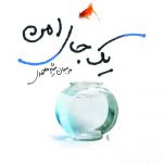 خرید کتاب یک جای امن اثر مرجان شیرمحمدی نشر مرکز