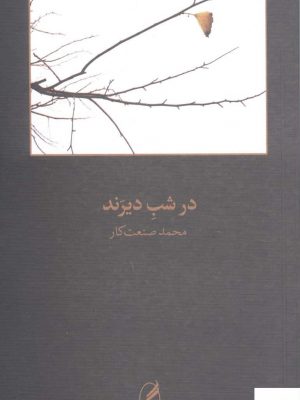 خرید کتاب در شب دیرند اثر محمد صنعت‌ کار از نشر آگه