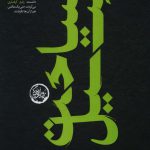 خرید کتاب سیاحت سیل اثر مهدی کرد فیروز جایی از نشر سوره مهر