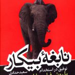 خرید کتاب نابغه ی بیکار اثر سعید حدادی از نشر هورمزد