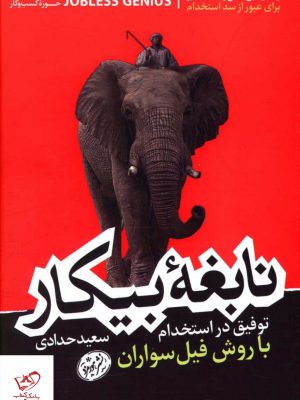 خرید کتاب نابغه ی بیکار اثر سعید حدادی از نشر هورمزد