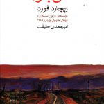 خرید کتاب آتش بازی اثر ریچارد فورد از نشر ماهی